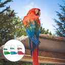 TEHAUX Parrot Drinker Automatic Water Feeder 3-Pack Bird Cage Water Dispenser Bowl Easy Installation 4.72X1.77X1.77 Inch for Parakeet and Small Birds