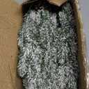 60Pcs Artificial Snowy Pine Branches with Red Berry Stems Pinecones Norfolk Greenery Pine Garland Branches Ornaments for Christmas Tree Wreath Garland DIY Crafts Holiday Home Decoration