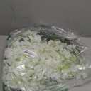 WEISPARK Fake Hanging Flowers - 12 Pieces 3.75 Feet/Piece Artificial Wisteria Vine Ratta Hanging Garland Silk Flowers for Home Party Wedding Decor (White)