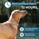 NJKPUYT Flea Collar for Dogs, Tick and Flea Collar for Dogs, Dog Tick Collar, Dog Flea Collars, Tick Collar for Dogs, Flea Collar for Large Dogs, Lasts Up to 8 Months, Family Friendly 2 Pack
