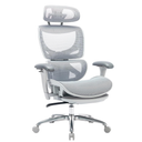 Ergonomic Mesh Office Chair with Footrest, Executive High Back Computer Desk Chair with Wide Headrest and Adjustable 3D Arms, Backrest, Tilt Lock and Lumbar Support-Grey