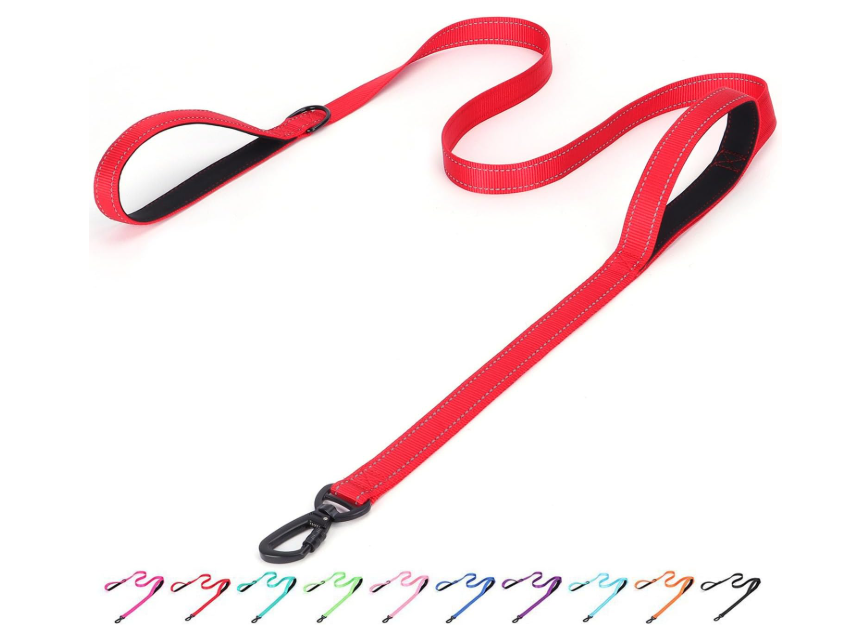Pimaodog Martingale Dog Collar with Stainless Steel Chain (S, Light Blue) and Bbmmayy Reflective Nylon Dog Leash - The Heavy Duty Hero Leash (Red, 5FT×1'')