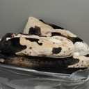 Heated Blanket Queen Blanket - Fast Heating Electric Blanket, Soft Flannel Heated Queen with 4 Time Settings,10 Heating Settings, Warm Gifts for Women & Mom & Grandma(84"x90"Light Brown) (03 - Brown Ombre-beige)