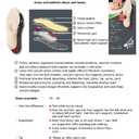 Pedag Viva | Leather Arch Support Inserts | Handmade in Germany | Plantar Fasciitis Relief | Heel Cushion | Activated Charcoal Odor Control | Metatarsal Support Pad | Tan | Women US 5/ EU 35