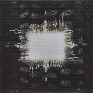 Aenima Explicit Lyrics