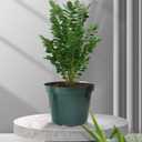 50 Pack 6 Inch Nursery Pots, Planting Grow Plastic Flower Pots, Thick Planters with Drainage Holes for Outdoor/Indoor Plants Succulent Herb (Green)