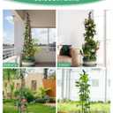 MYMULIKE 2Pack Garden Trellis for Climbing Plants Outdoor Indoor Pot 67'' Cucumber Trellis for Climbing Plant Support for Climbing Vegetables Plants Garden Obelisk Trellis Tomato cage & Climbing Rose