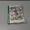 36 Pack Christmas Greeting Cards Bulk Holy Night Blank Note Cards with Envelopes Matching Seal Stickers for Holiday Xmas, 4 x 6 Inch