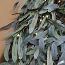 Hairui Lighted Wall Hanging Olive Tree with Timer 3.5FT 140 Warm White LED Fairy Lights, Vine Garland with Lights for Home Room Fireplace Wall Window Christmas Decoration Inside Outside