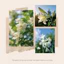 Reed Diffusers Set, 7.10 oz Flower Scented Diffuser with 7 Sticks, Long Lasting Home Fragrance for 120 Days, Perfect for Bathroom, Shelf Decor, Air Fresheners