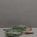 40 Pcs Artificial Eucalyptus Stem, Fake Silver Dollar Eucalyptus Leaves Stems Bulk Real Touch Faux Leaf Branches for DIY Bouquets Floral Arrangement Wedding Home Decor