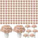 Thiccywoov 400 Pcs Silk Rose Heads Artificial Fake Flowers, Nude
