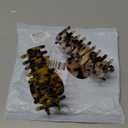 Big Claw Hair Clips 3.8 Inch Tortoise Banana for Women Girls Thin Hair French Design Celluloid Leopard Print Strong Hold for Thick Hair, (2 Packs)