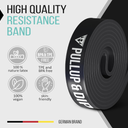 Pullup & DIP Fitness Bands, Resistance Bands with Bag, Door Anchor (with Sets) and Exercise Guide - Single & in Value Set, Pull-Up Band Fitness Band for Calisthenics (LIGHT (Black, 15-53 lbs))