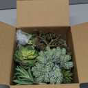 Winlyn 19 Pcs Assorted Artificial Succulents Plants Unpotted Small Green Hanging Succulent Aloe Fake Cacti Succulents Bulk for Succulent Garden Centerpiece Wreath Arrangement Indoor Outdoor Home Decor