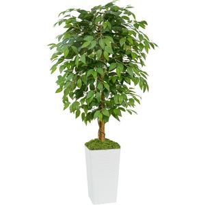 Artificial Ficus Tree 5FT Faux Floor Tree with Planter UV Resistant Potted Fake Silk Plant, Real Wood Trunk-Indoor Outdoor Lifelike Fake Ficus Tree for Home, Living Room Bedroom Topiary Tree (White)