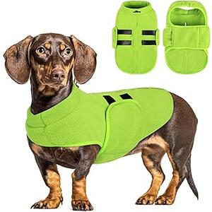 Queenmore Small Dog Sweaters, Soft Fleece Vest Pullover Dog Jacket with Leash Hole, Warm Winter Dog Clothes Cold Weather Doggy Dachshund Sweater for Small Dogs Cats Boy or Girl (Green, S)