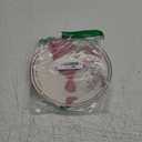 Mud Pie Santa Salad Christmas Plate, Wreath, 8" dia