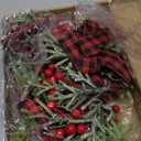 Dingion 8 Pcs 6 Inch Mini Cabinets Christmas Wreaths for Kitchen Mini Norfolk Wreath with Ribbon Bows and Berry Hanging Artificial Greenery for Farmhouse Door Wall Window Decor(Stylish Style)