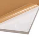 Plexiglass Sheets (6mm Thick (1/4"), 20" x 24" (2 Pack))