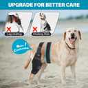 Dog Knee Brace, Torn ACL Hind Leg Support, Rear Stability for CCL Injury Recovery & Hip Dysplasia, Adjustable Joint Wrap for Small Medium Large Pets(Right, L)