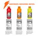 Gatorade Thirst Quencher Sports Drink, Variety Pack, 20oz Bottles, 12 Pack, Electrolytes for Rehydration (EXP 11/13/25)