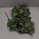 Winlyn 20 Pcs Mixed Artificial Oval Eucalyptus Leaves Bulk with White Seeds Stems and Spray for Vase Floral Wreath Bouquets Wedding Greenery Decoration