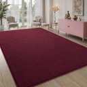 Pettop 5x7 ft Burgundy Red Area Rugs for Bedroom Living Room, Washable Memory Foam Indoor Carpet, Modern Aesthetic Minimalist Non Slip Soft Comfy Carpet for Boys Girls Dorm Home Decor