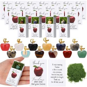 Motipuns 24 Sets Teacher Appreciation Gifts in Bulk Thank You Teacher Desk Decor Stones Emotional Support Green Moss Matchbooks Paperweights Gifts for Women Men Ece Appreciation Day