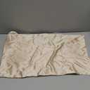 Blissy Silk Pillowcase - 100% Pure Mulberry Silk - 22 Momme 6A High-Grade Fibers - Silk Pillow Cover for Hair & Skin (Champagne, Standard)