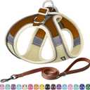 AIITLE No Pull Dog Harness and Leash Set, Step in Adjustable Dog Harness with Padded Vest for All Weather, Dog Leash with Soft Padded Handle, Easy to Put on Small and Medium Dogs Beige S (S(Chest: 13.5 - 16"))