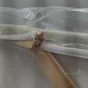 the stream design Tree Painting Canvas Wall Art: Nature Picture Hand Painted Forest Artwork Modern Abstract Textured Landscape Print Decor for Bedroom Living Room Home Office