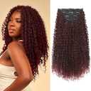 FLUFYMOOZ Clip in Hair Extensions, 20" 4PC 100 Pure Protein Silk Hair Extensions for Black White Women Long Soft Curly Hair Extension Hairpiece(Wine Red)