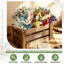 Layhit 12 Pcs Boho Dried Flower Bouquet Mini Wedding Handmade Dry Flowers Decor for Vase Crafts DIY Photo Boutonniere for Men Floral Plant for Bridesmaid Gift Birthday Decor(Hydrangea)
