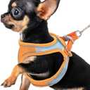 Premium Chihuahua Harness and Leash Set - Ultra-Comfy & Secure Dog Harness for Chihuahua