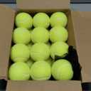 FURWEY Tennis Balls, 12/24/36/80 Pack Bulk Tennis Balls Pressureless Tennis Ball, Come with Mesh Bag for Easy Transport,Pet Dog Playing Balls, Good for Beginner Training Ball