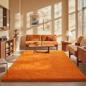 Ophanie Orange Rugs for Living Room Bedroom, 5x8 Fluffy Fuzzy Furry Carpet, Plush Soft Shaggy Bedside Indoor Floor Area Rug for Kids Girls Boys Baby Teen Dorm Nursery Home Decor Aesthetic