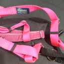 PetSafe Easy Walk Comfort Reflective No Pull Dog Harness, Pink, Small/Medium: 19 to 24-in chest