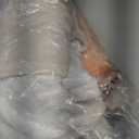 Cute Hamster Blanket,Anime Floral Flannel Throw Blankets,Soft Warm Lightweight Cozy Plush Throws for Bedroom Sofa Home Decor Gifts for Pet Lovers Kids Boys Girls 50"x60" (Color192)