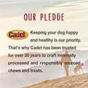 Cadet Bully Sticks for Large Dogs, All-Natural Beef Pizzle, Rawhide-Free Long-Lasting Dog Chews for Aggressive Chewers, Extra-Thick, 2 Count