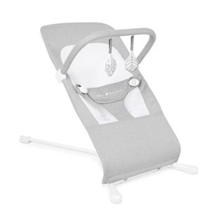 Baby Delight Highland Baby Bouncer | Infant | 0 – 6 Months | 3-Position Recline | Pebble Grey
