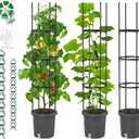 2 Pack Tomato Planter with Trellis for Climbing Plants Outdoor, Self Watering Raised Garden Bed Planter Box, Tomato Cage Garden Trellis Plant Support for Climbing Vegetables Flowers Indoor