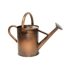 yourjoy Sliver Galvanized Steel Watering Can with Copper Accents,Removable Rosette-Diffuser,One-Gallon