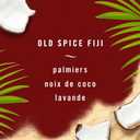 Febreze Odour-Fighting Auto Air Freshener, Car Vent Clip, Old Spice Fiji, 4ct