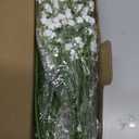 Babys Breath Artificial Flowers, 12 Pcs Gypsophila Real Touch Flowers for Wedding Party Home Garden Decoration (White)