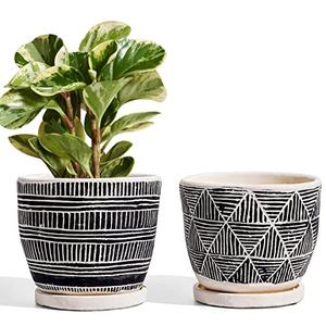 LE TAUCI 5.5 Inch Boho Plant Pots Indoor, Artisanal Cement Pots for Plants, Succulent Pots with Drainage Holes and Saucers, Planters for Indoor Plants, Set of 1  Black and Cream White