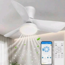 Ceiling Fans Lights with APP & Remote Control: 30 Inch Low Profile Ceiling Fans with Lights Reversible Small Flush Mount Ceiling Fan 3 Colors Quiet 6 Speeds Ceiling Fan for Bedroom Livingroom Kitchen