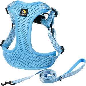 BELLA & PAL Adjustable Step-in Dog Harness, Puppy No-Pull Vest with Leash Set for Dog, Breathable All-Weather Mesh, Reflective Strip, Secure Hook & Loop (M (chest: 18-21"), Blue)