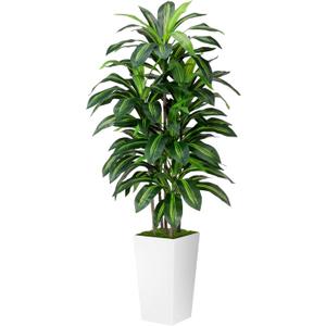 Artificial Dracaena Plant Indoor 5FT - Fake Tree with White Tall Planter - Faux Yucca Tall Fake Floor Plant in Pot - Artificial Trees for Home Office Living Room Decor Indoor