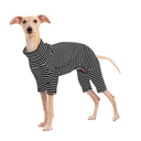 Dog Sweaters for Small Dogs Girls Boys, Striped Pet Sweaters for Fall Winter Dog Clothes, Turtleneck Pullover Knitwear for Small Medium Dogs, XL